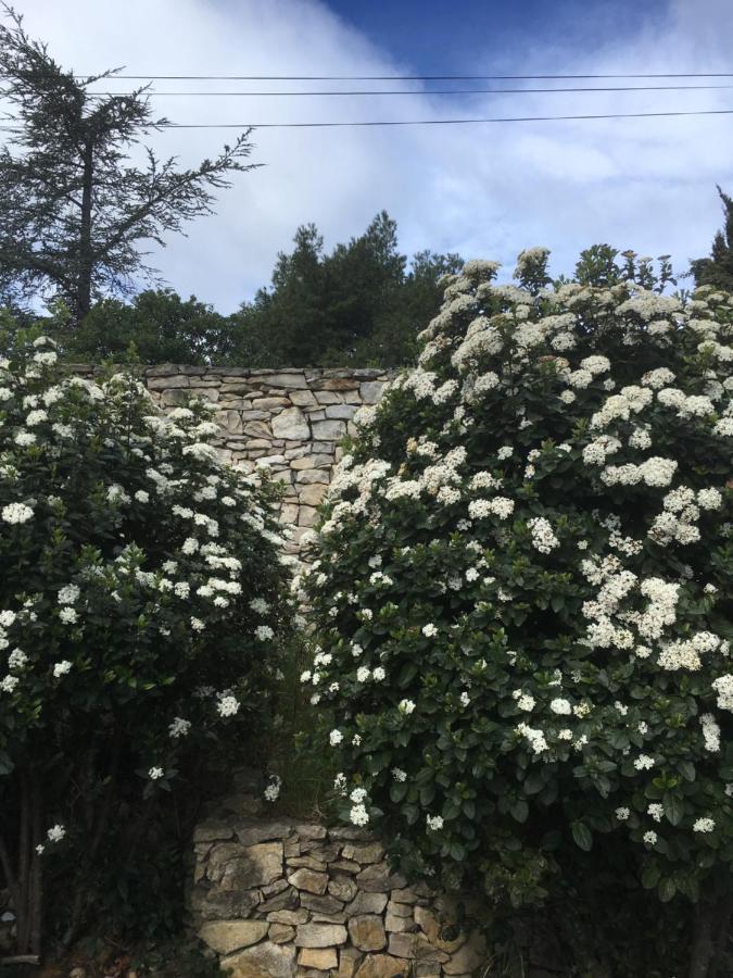 La Chambre Haute Et Son Spa Nimes Ngoại thất bức ảnh